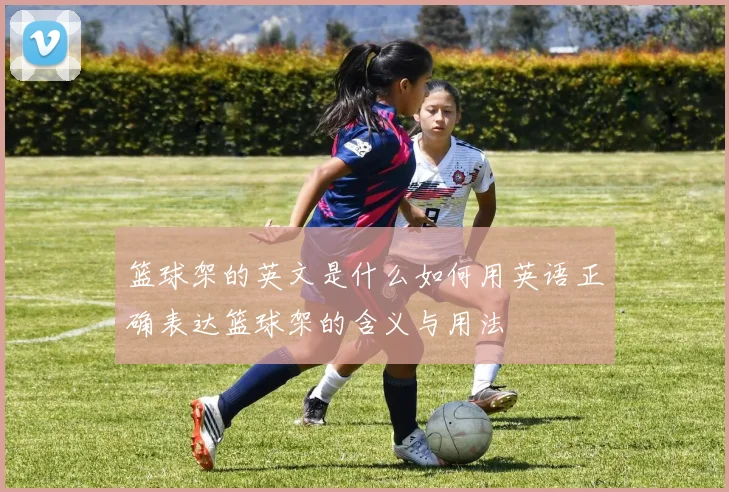 篮球架的英文是什么如何用英语正确表达篮球架的含义与用法