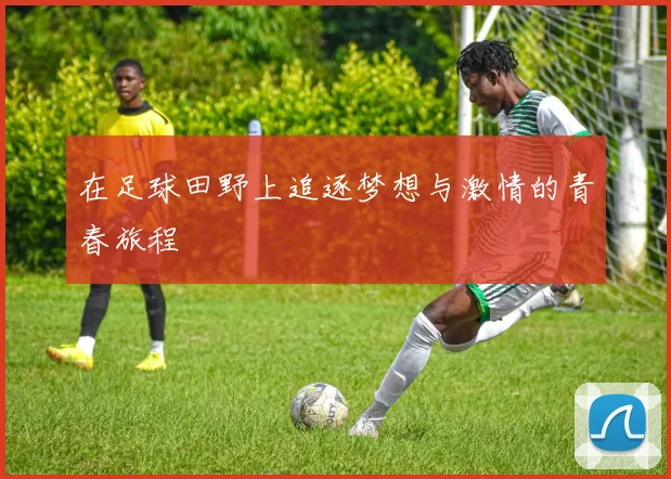 在足球田野上追逐梦想与激情的青春旅程