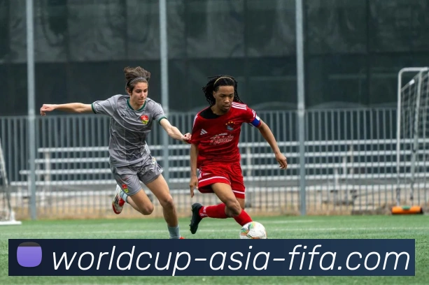 2026世界杯服务体系